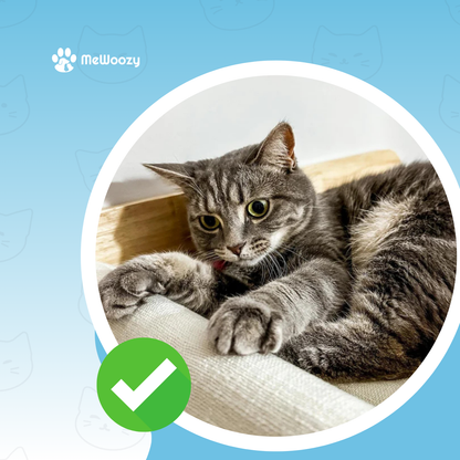 Wandhangmat Voor Katten – Voor Knusse Hoogte En Klimplezier