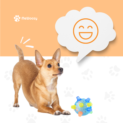 Springbal Voor Honden – Voor Actief Speelplezier Elke Dag