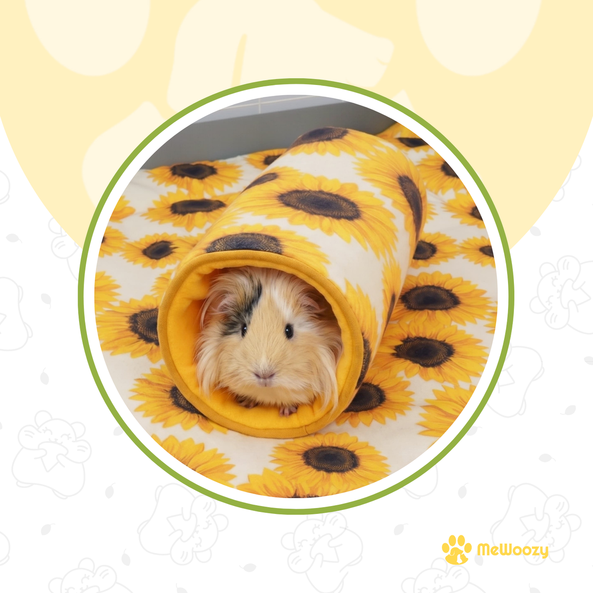 Zonnebloem Tunnel Voor Cavia's