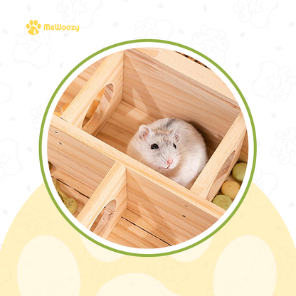 Houten Hamster Doolhof Met Glaspaneel – Voor Slim Spelplezier