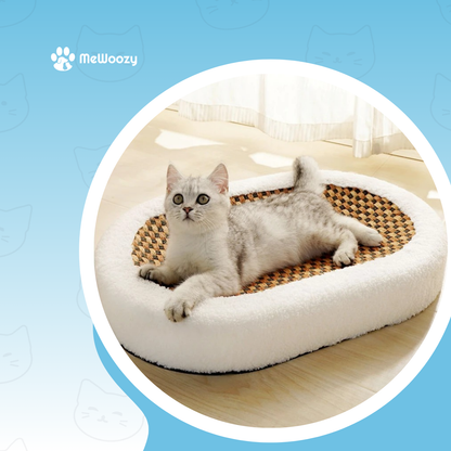 Kattenbed Met Krabvlak – Voor Rust En Gezond Krabgedrag