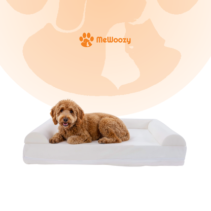 Bruine krullende hond ligt op het sofa hondenbed met witte hoes