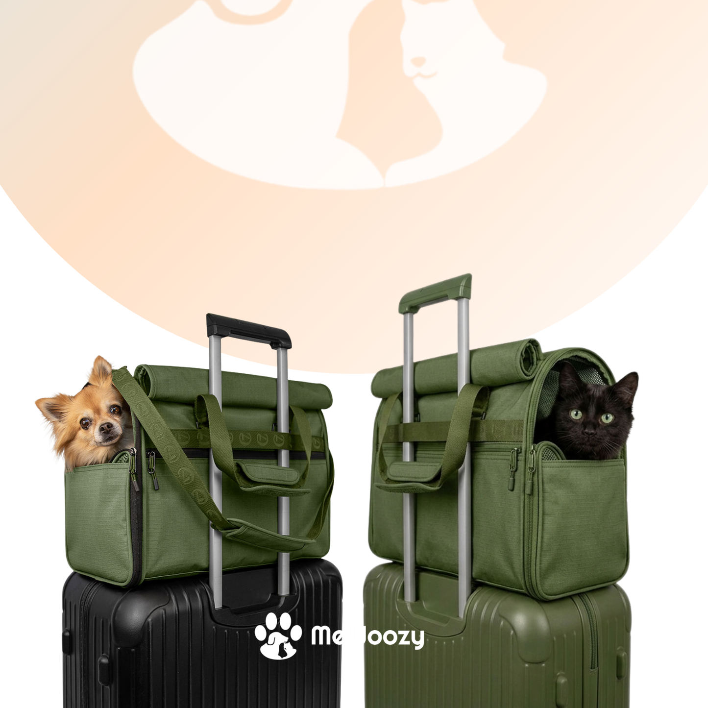 Honden Reistas Met Mesh – Voor Veilig Reizen Samen