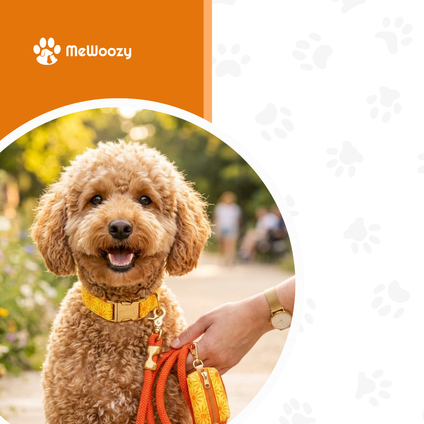 Honden Wandelset Met Poepzakhouder – Voor Stijlvol Uitlaten