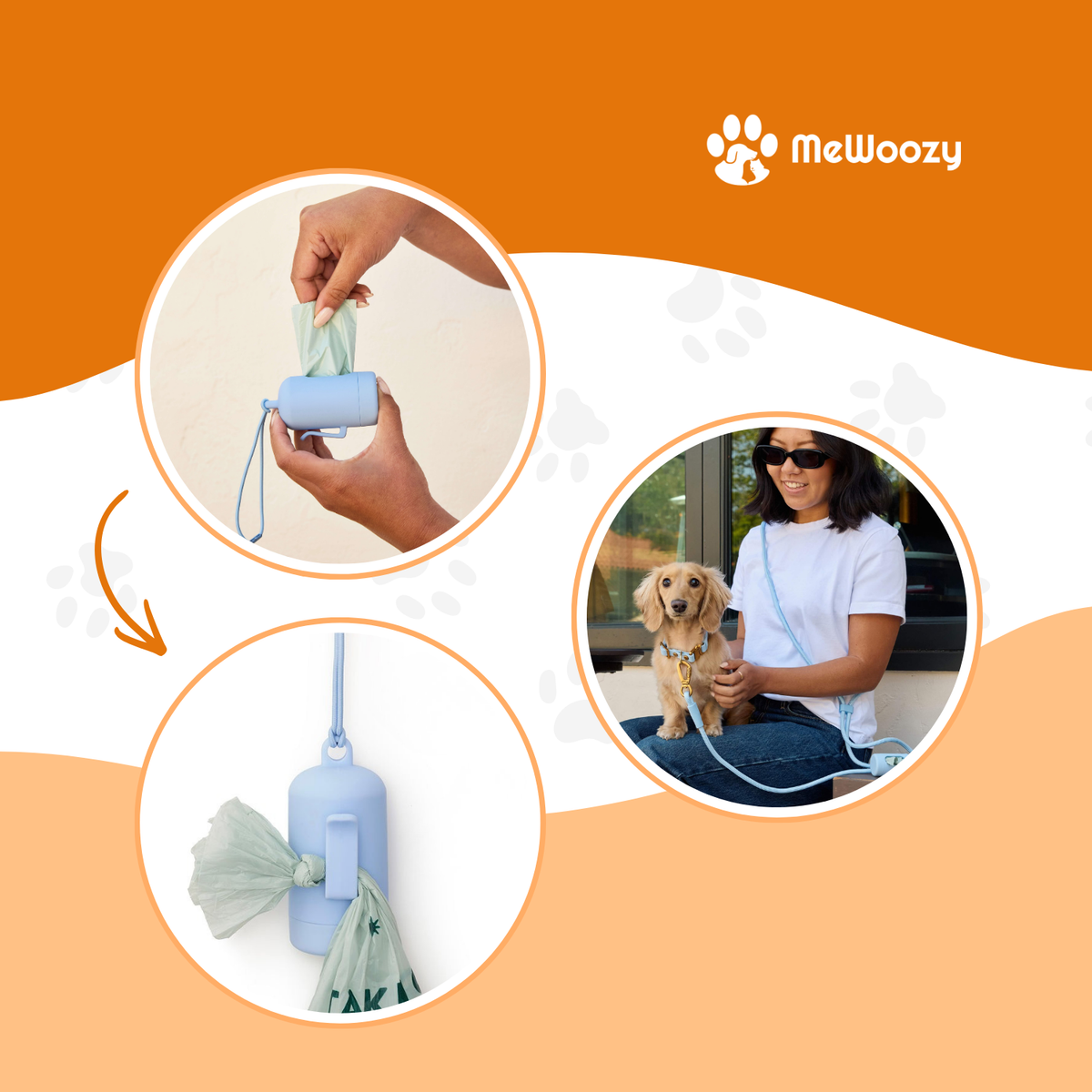 Alpine Everyday Wandelset Voor Honden