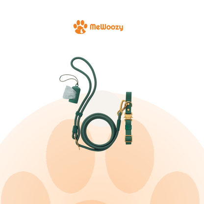 Fern Everyday Wandelset Voor Honden