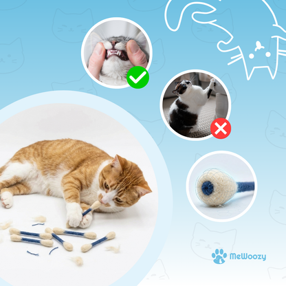 Vilten Kattenspeeltje – Voor Bijten, Schoppen En Spel