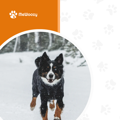 Powder Hound Waterdichte Gevoerde Hondenoverall
