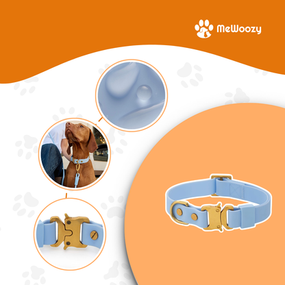 Alpine Everyday Wandelset Voor Honden