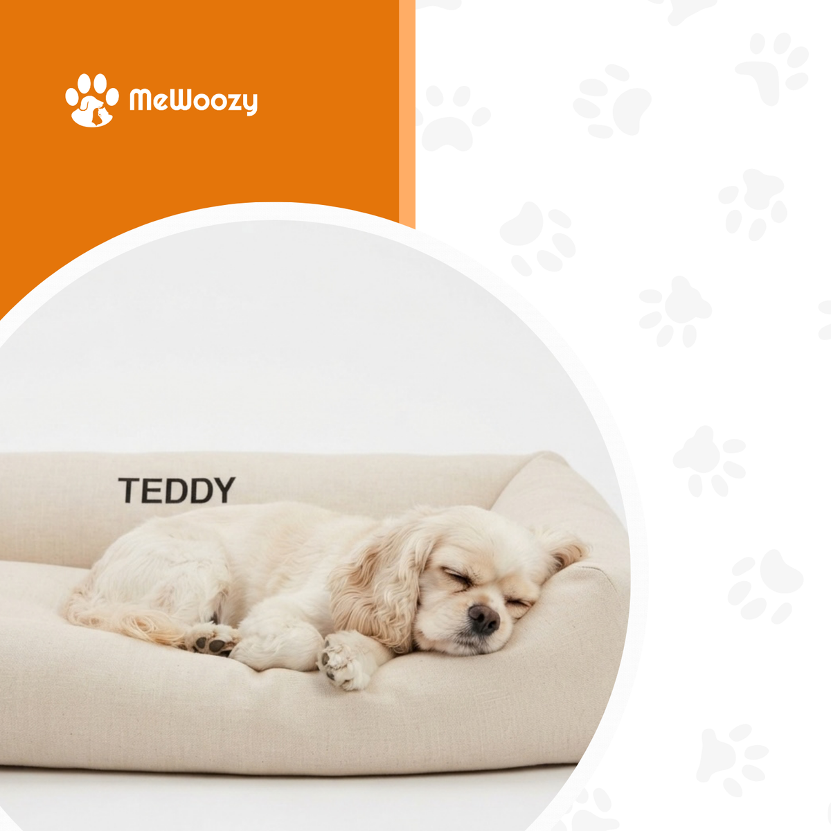 Slapende cockerspaniël op het beige hondenbed met de naam Teddy