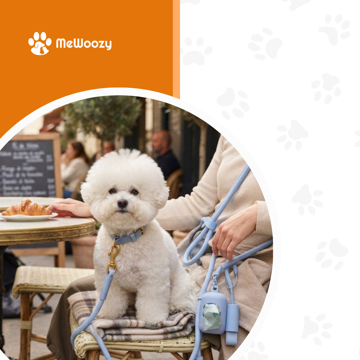 Alpine Everyday Wandelset Voor Honden