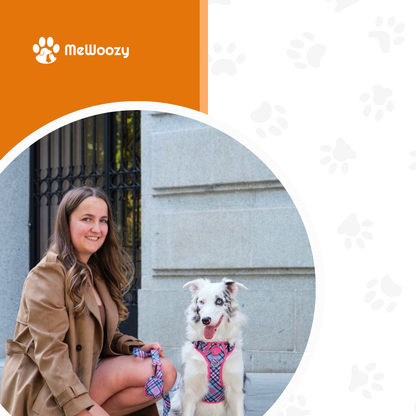 Vrouw in beige jas zit op straat naast border collie met harnas