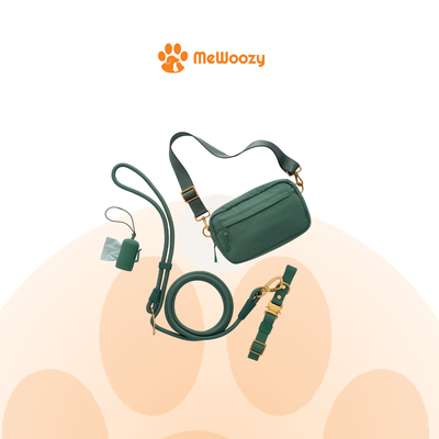 Fern Adventure wandelset voor honden met handsfree lijn