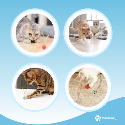 Bouncy Speelballen Voor Katten – Voor Actief En Leuk Spel