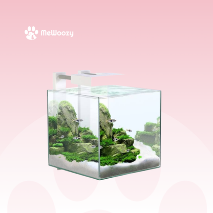 Compact Aquarium Met Led En Filter – Voor Makkelijk Thuisgebruik