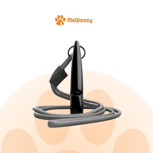 Hondenfluit Met Lanyard – Voor Effectieve Terugroeptraining