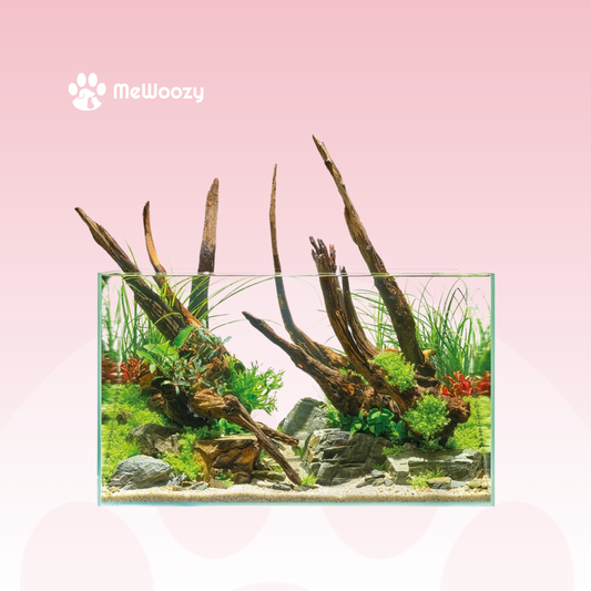 Aquarium Met Onderkast 100L – Voor Strak En Stijlvol Interieur
