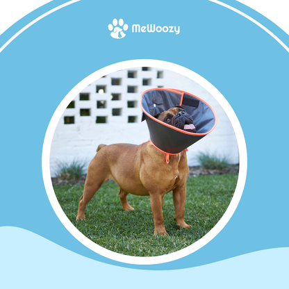 Herstelkraag Met Schuimvulling – Voor Comfort Na Operatie