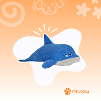 Blue Dolphin