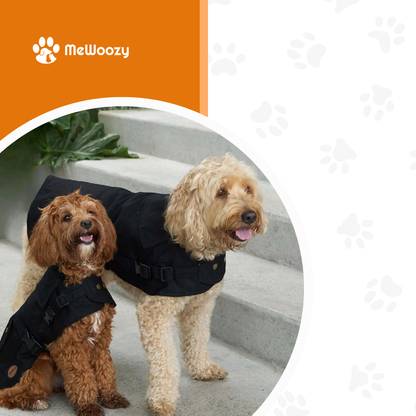 Waterdichte Hondenjas Met Flanelvoering – Voor Warme Wandelingen