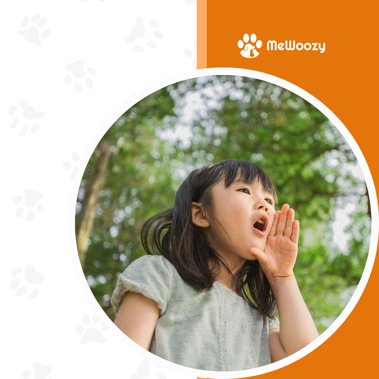 Hondentrainingshalsband Met Afstandsbediening – Voor Rustige Wandelingen