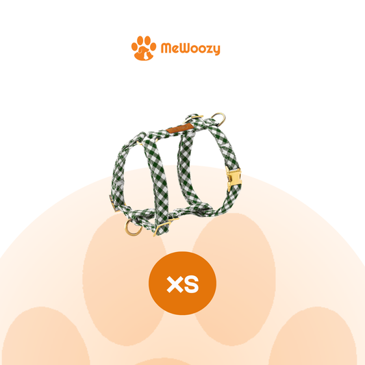 Het hondentuig in groene ruit met oranje label voor maat XS