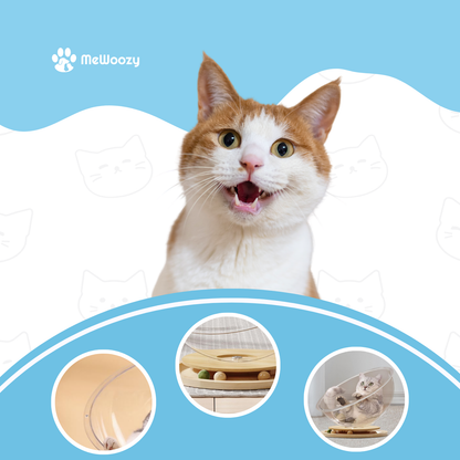 Kattenslaapkogel Met Speelbaan – Voor Spel En Gezellige Rust