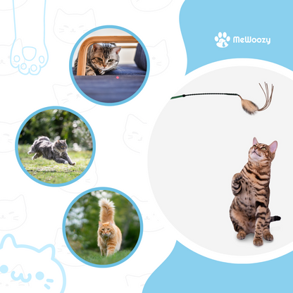 Laser Speelstok Voor Katten – Voor Springen En Jagen Thuis