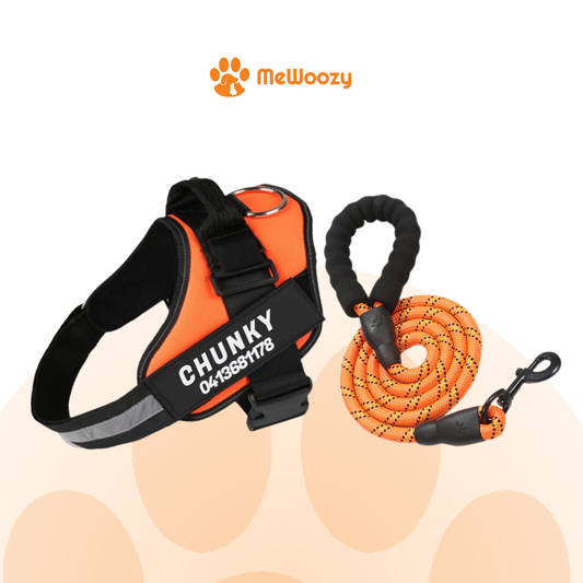 Hondentuig Met Naamlabel – Voor Comfort En Extra Controle