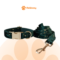 Hondenhalsband en Hondenriem Set