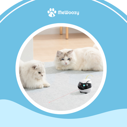 Huisdiercamera Robot Met App – Voor Spel En Contact Thuis