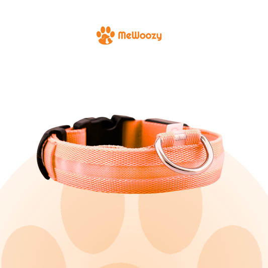 LED Hondenhalsband Oplaadbaar – Voor Veilige Avondwandelingen