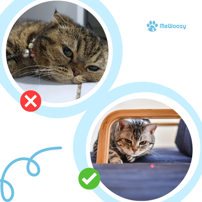 Laser Speelstok Voor Katten – Voor Springen En Jagen Thuis