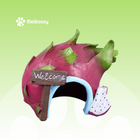 Drakenfruit