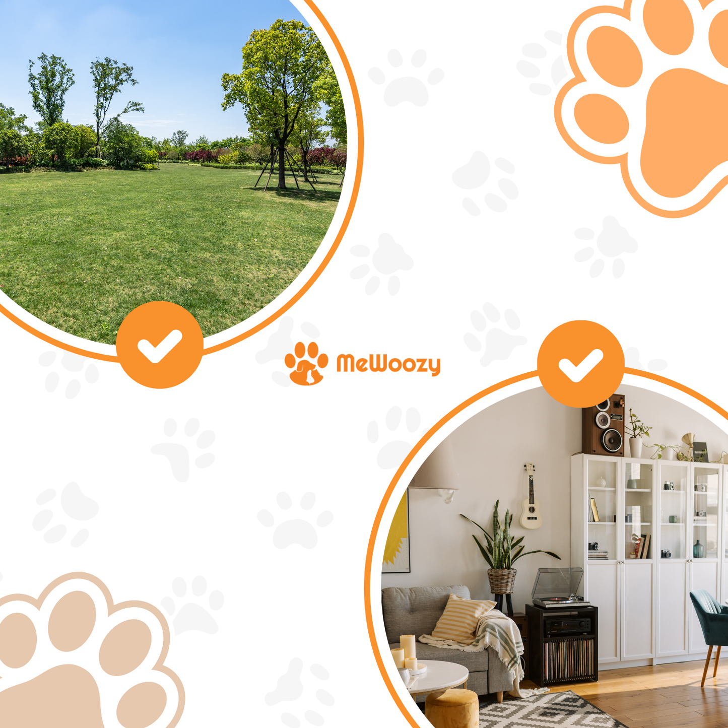 Springbal Voor Honden – Voor Actief Speelplezier Elke Dag