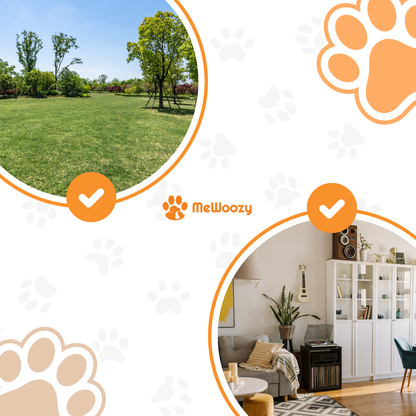 Springbal Voor Honden – Voor Actief Speelplezier Elke Dag