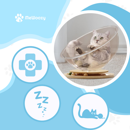 Kattenslaapkogel Met Speelbaan – Voor Spel En Gezellige Rust
