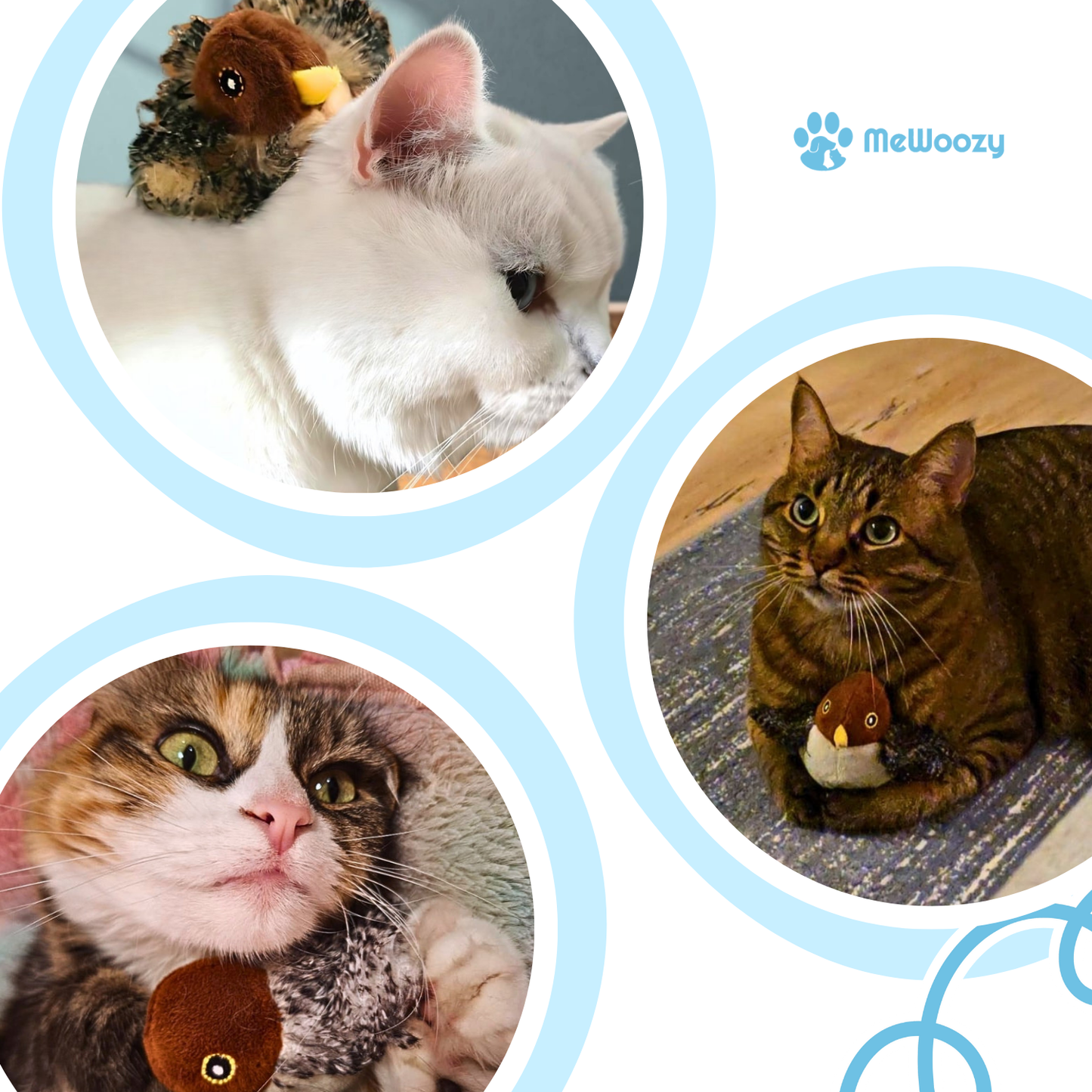 Kattenspeeltje Met Flappende Vleugels – Voor Actief Jachtplezier