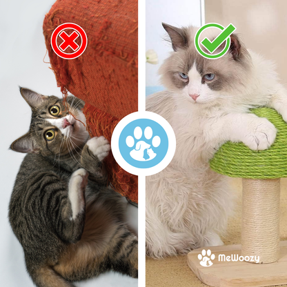 Katten Speelstation Met Krabpaal – Voor Actief En Gezond Spel