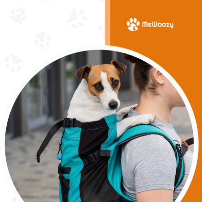 Honden Draagrugzak Met Ventilatie – Voor Comfortabele Reizen