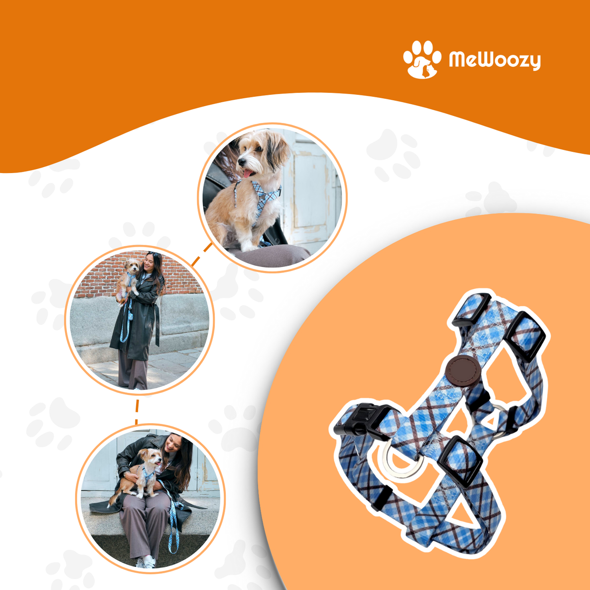 Collage van kleine hond met het tuigje buiten, gedragen door een vrouw