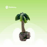 Palmboom