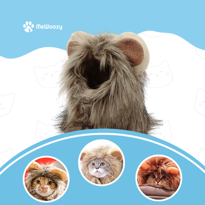 Leeuwenmanen Voor Katten – Voor Leuke Verkleedfoto's Thuis