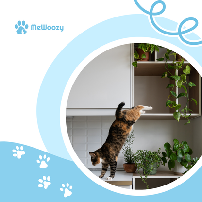 Wandklimset Voor Katten – Voor Hoogte En Binnenavontuur