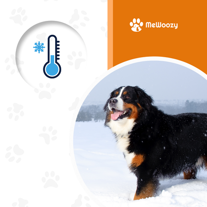 Winterjas Voor Honden – Met Warme En Waterdichte Bescherming