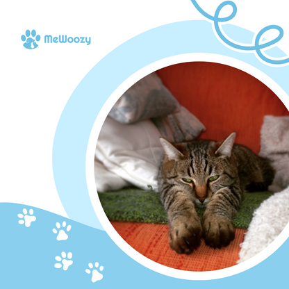 Kattenkicker Speelvis Met Kattenkruid – Voor Actief Jachtplezier