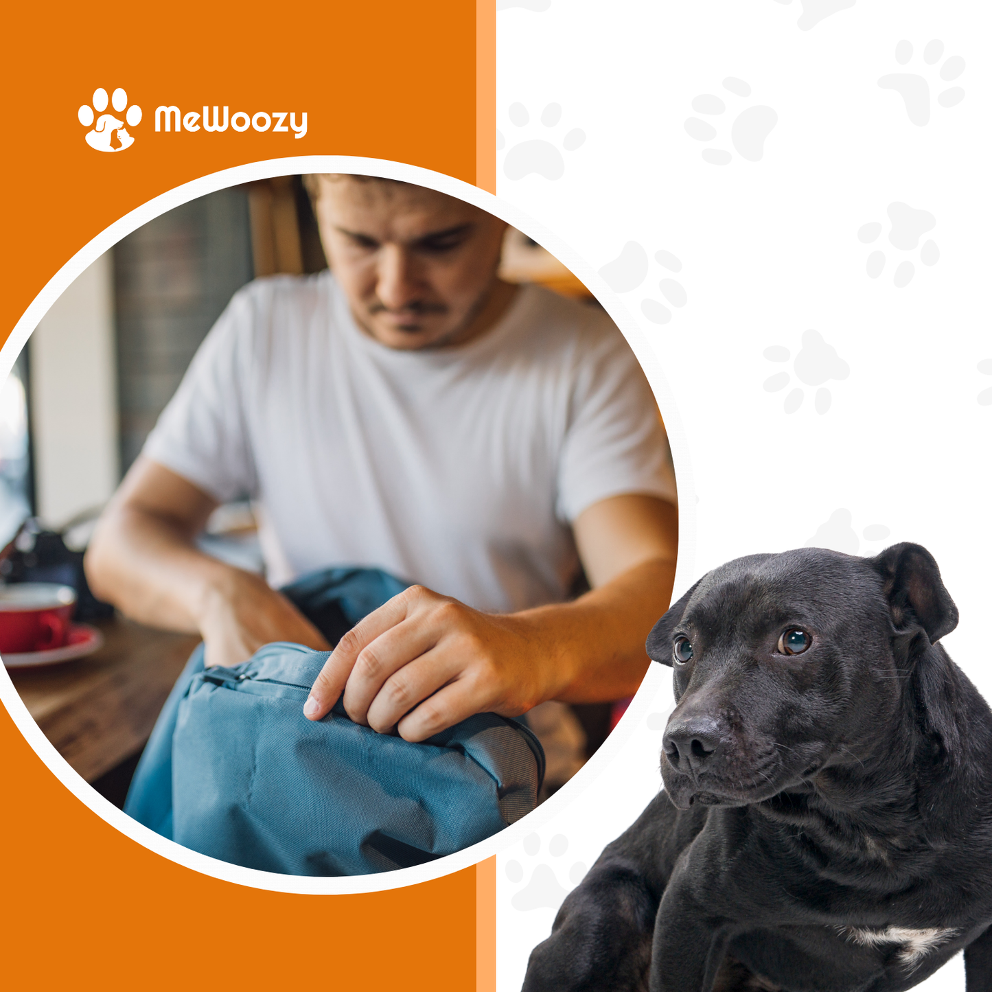 Snacktas Voor Honden – Voor Makkelijke Training En Wandeling