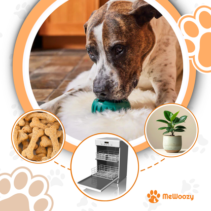 Snackbal Voor Honden – Voor Langer Kauw- En Speelplezier