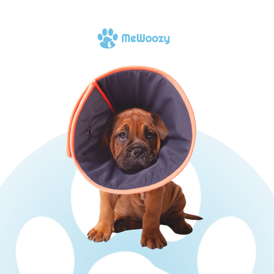 Herstelkraag Met Schuimvulling – Voor Comfort Na Operatie