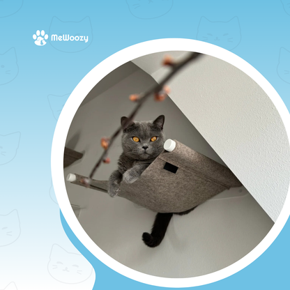 Kattenhangmat Voor Muurmontage – Voor Warm En Hoog Relaxen
